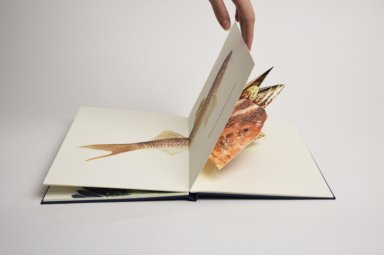 Image - pop-up-ninon09