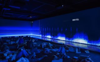 Image - L’art, la société et la biodiversité : expériences pratiques