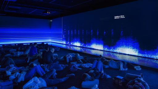 Image - L’art, la société et la biodiversité : expériences pratiques