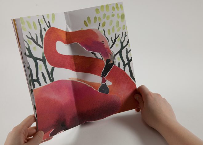 Image - Le bec fin (le Flamant du Chili)