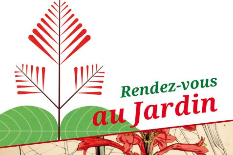 Image - Rendez-vous au Jardin