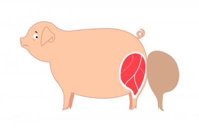 Image - J&rsquo;aime les animaux !