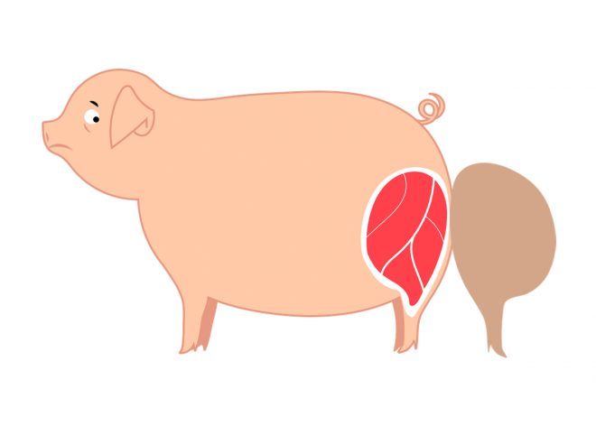 Image - J&rsquo;aime les animaux !