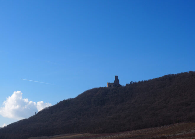 Image - Une journée au château de l&rsquo;Ortenbourg