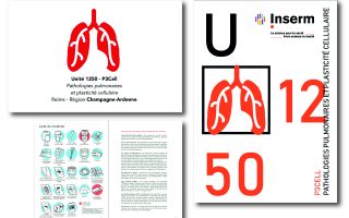 Image - Journal de Marc Senny-Palany
