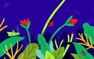 Image - Biodiversité – Enjeu scientifique ou sociétal ?