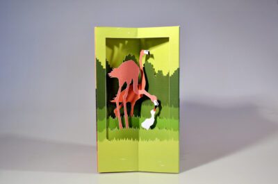 Image - La vie d&rsquo;un flamand rose